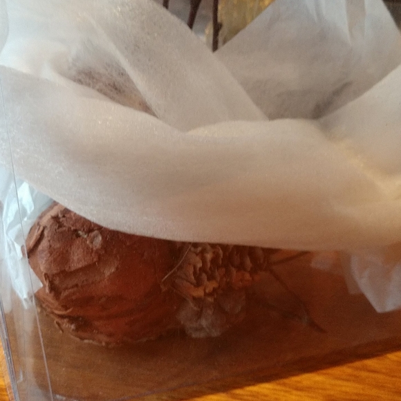 THANKSGIVING FOLKART Fabulous TURKEY of Pinecone Twig & Leaf NWT - Picture 7 of 8